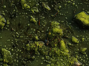 Wetland texture (ID:ffach297291)