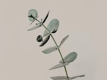 Plant painting texture (ID:ffagg53269)