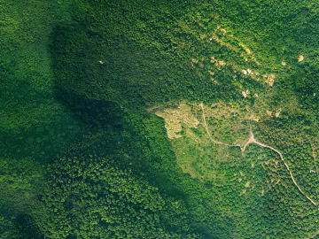 Turquoise Mountain Forest Aerial Exterior texture (ID:ffaeh255689)