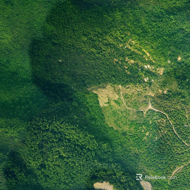 Turquoise Mountain Forest Aerial Exterior texture