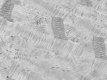 Black and White Bump texture (ID:ffacg33415)