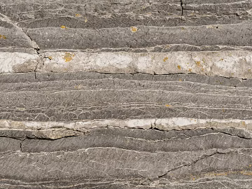 Soil soil layer 3d model