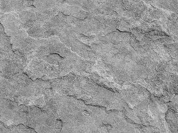 Black and White Bump texture (ID:ffaeg19276)