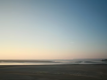 Wild Scenery texture (ID:ffach794556)