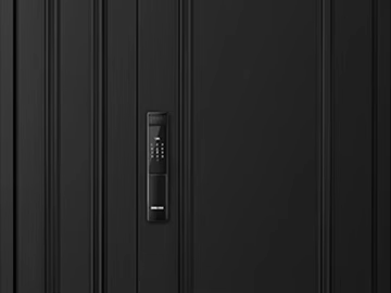 Black metal intelligent double door texture (ID:ffaeh267339)