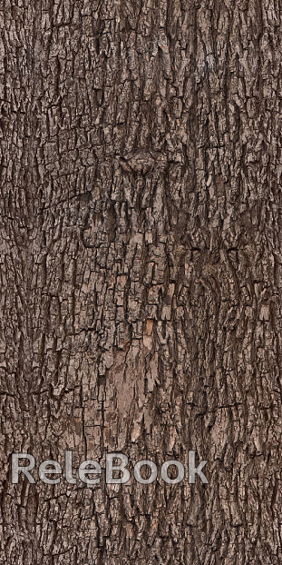 bark trunk texture