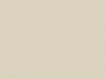 Plain Wallpaper texture (ID:ffajg94684)