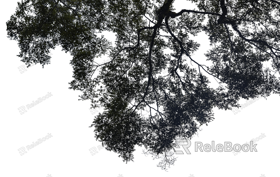 black and white tree shadow texture