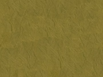 No rules 3d model