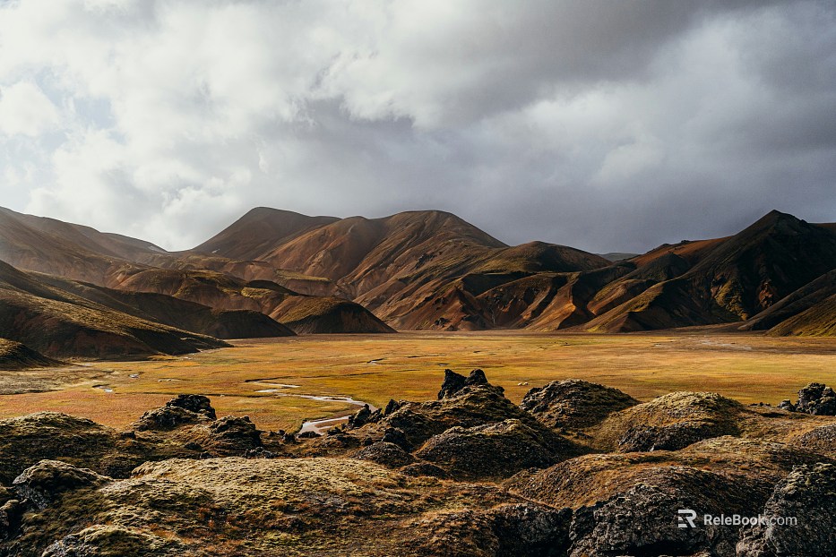 Grassland Natural Scenery texture