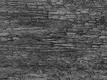 Black and White Bump texture (ID:ffacg63654)