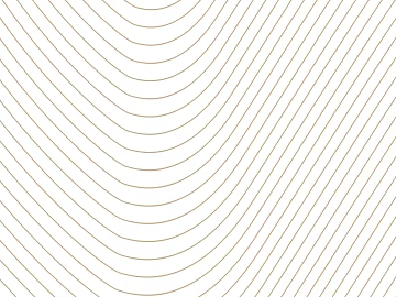 geometric line texture (ID:ffagg47821)