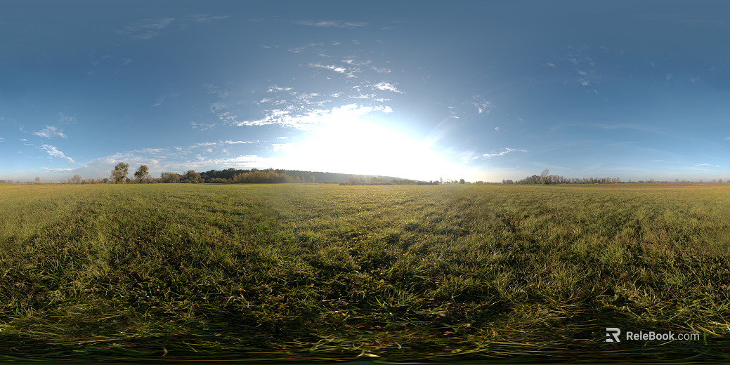 Outdoor Blue Sky Grassland Lawn HDR texture