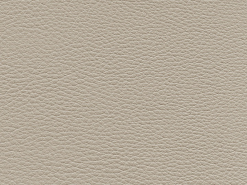 Coarse-grain leather texture (ID:ffaag04081)