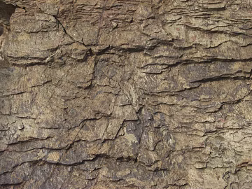 Rock texture (ID:ffacg83219)
