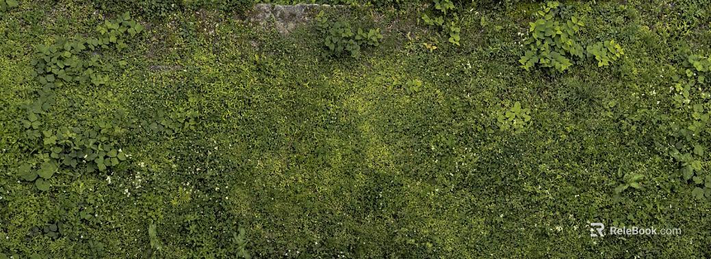 Green Weed Land Outdoor Ground texture