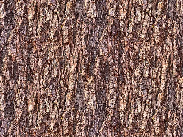 bark texture (ID:ffagg20441)