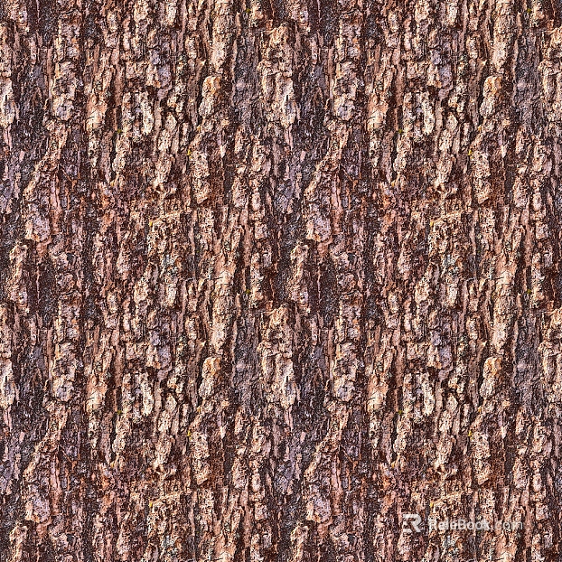 bark texture