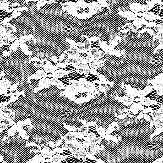 lace fabric texture