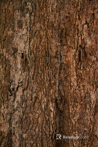 bark texture