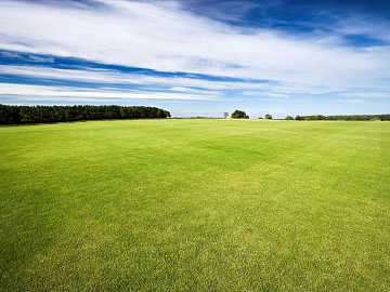 Wild Scenery texture (ID:ffach211308)