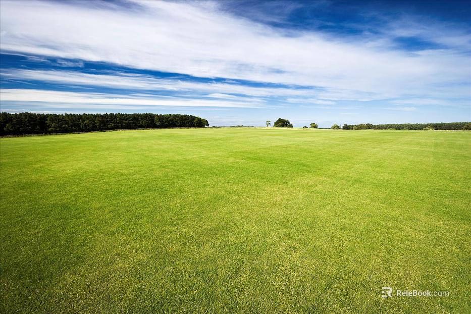 Wild Scenery texture