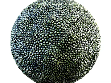 Biological Fur PBR texture (ID:ffach909994)