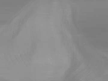 Gray Black and White Bump Wall Map texture (ID:ffaeh775032)