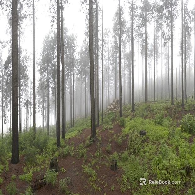 Wild Scenery texture