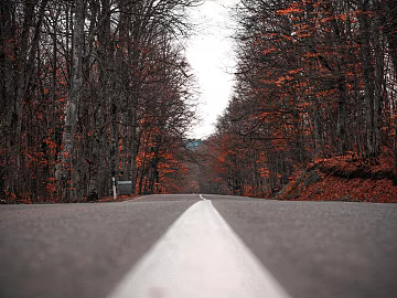 Highway Exterior texture (ID:ffagg57873)