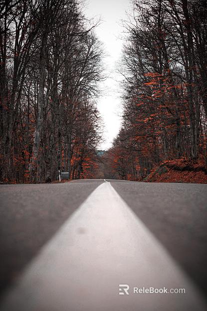 Highway Exterior texture