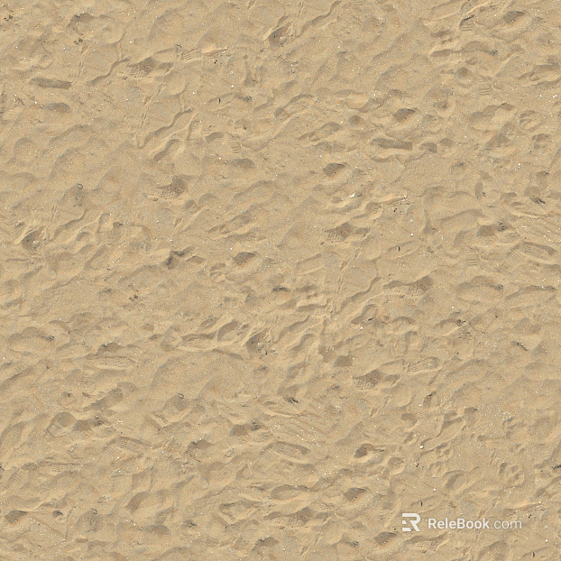 Beach Beach texture