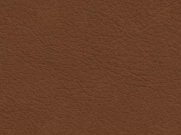 Retro leather pattern 3d model