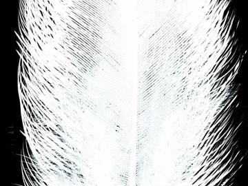 black and white painting texture (ID:ffacg95992)