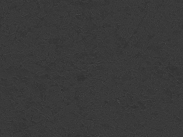 Black and white stone map texture (ID:ffaef4503)