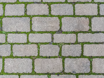 grass-planting brick texture (ID:ffach966290)