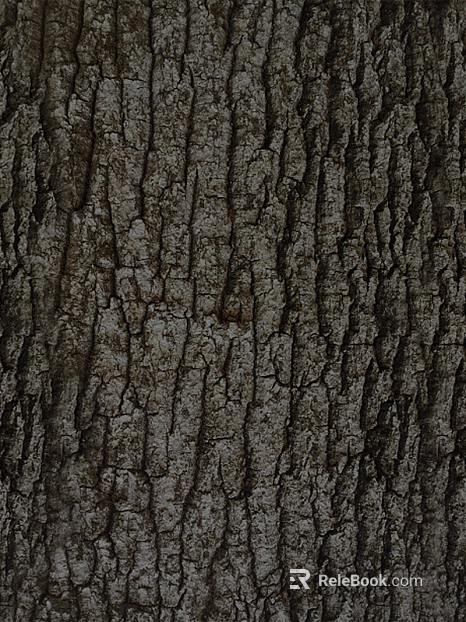 bark texture