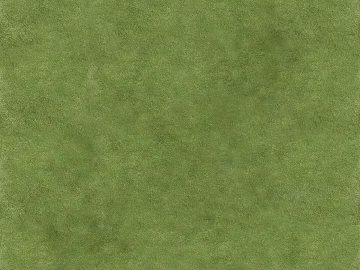 Grassland texture (ID:ffach189546)