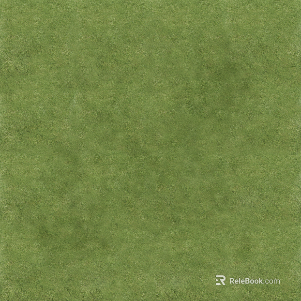Grassland texture