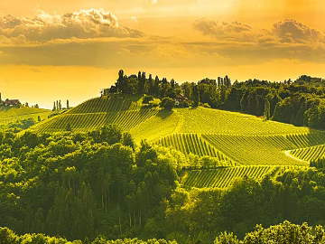 Nature Exterior Country Exterior texture (ID:ffach945385)