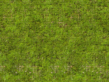 Modern moss texture (ID:ffach024213)