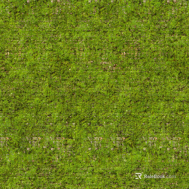 Modern moss texture