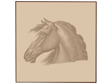 Animal painting texture (ID:ffajg76256)
