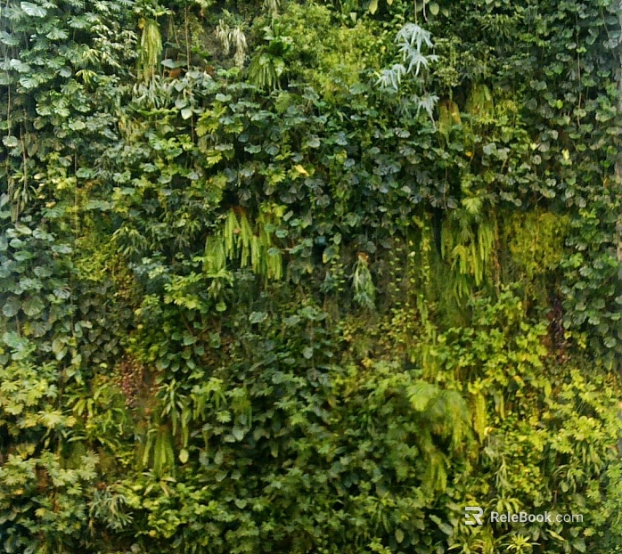 Plants texture