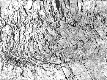 Black and White Bump texture (ID:ffach674416)