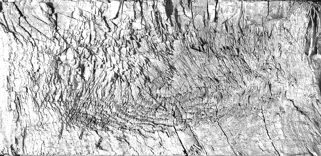 Black and White Bump texture