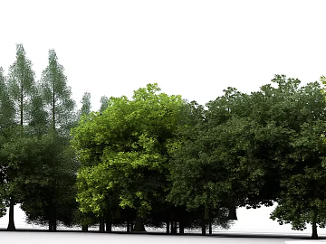 Tree texture (ID:ffagg09670)