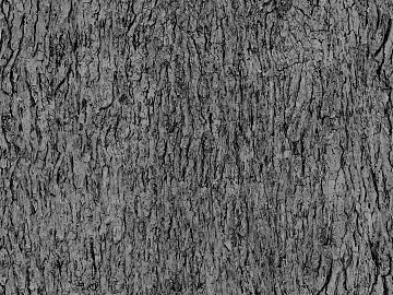 bark texture (ID:ffajg11821)