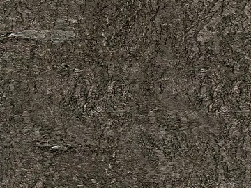 bark texture (ID:ffhae374)