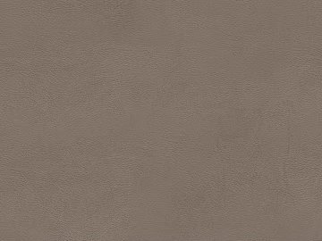 fine grain leather texture (ID:ffacg51574)
